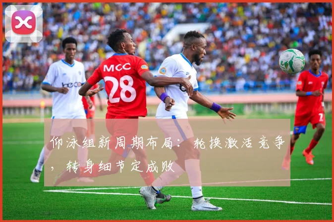 仰泳组新周期布局：轮换激活竞争，转身细节定成败