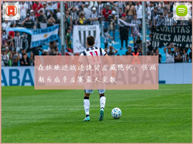 森林狼连战连捷背后藏隐忧，伤病潮或成季后赛最大变数